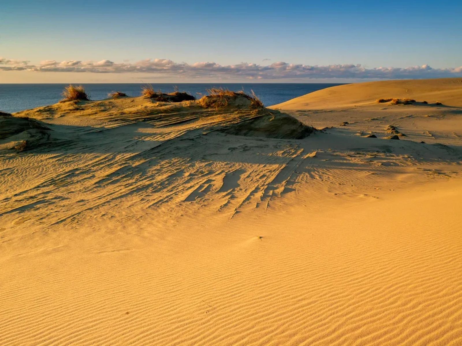Песчаные дюны Куршской косы
