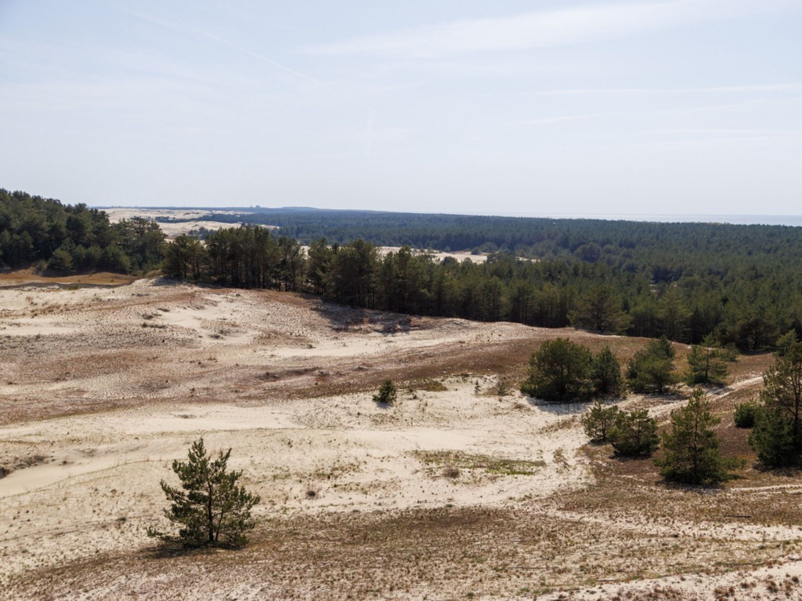 Панорамы Куршской косы