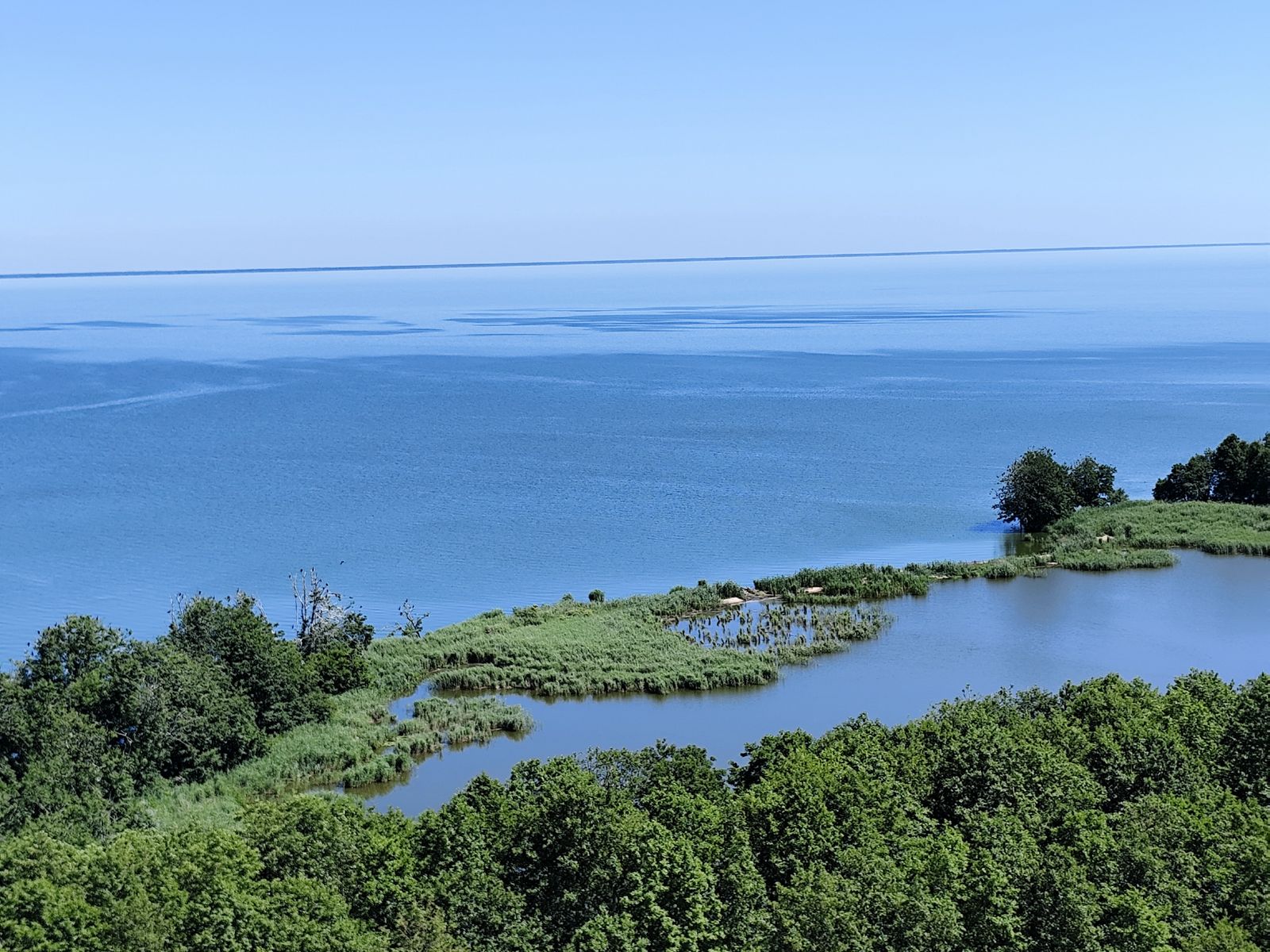 Куршская коса