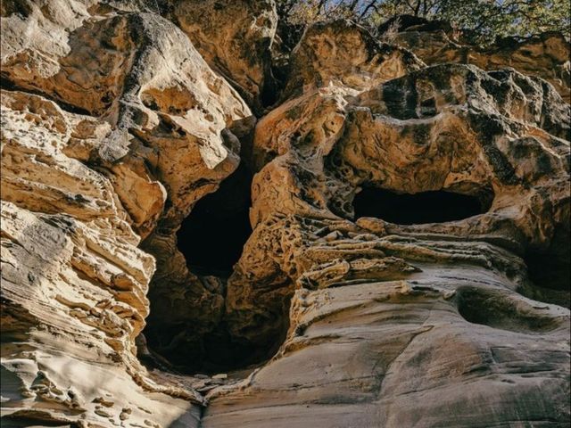 Экскурсия в Домбай на 1 день — панорамы, озёра и фотопаузы — фото 3