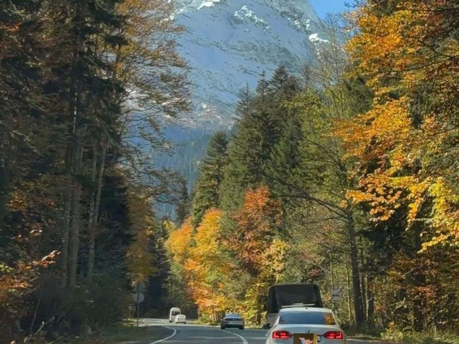 Золотая осень на серпантинах Домбая  