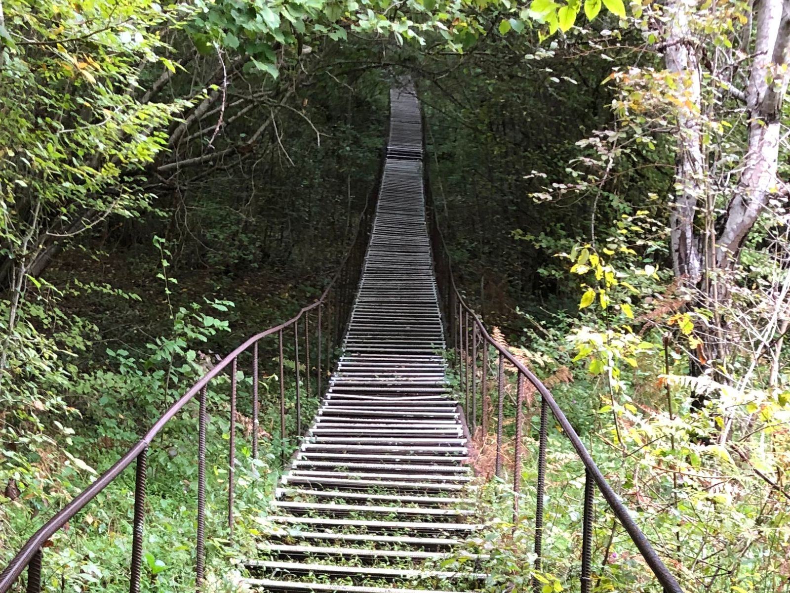 Дорога к месту обретения усеченной головы Иоанна Крестителя