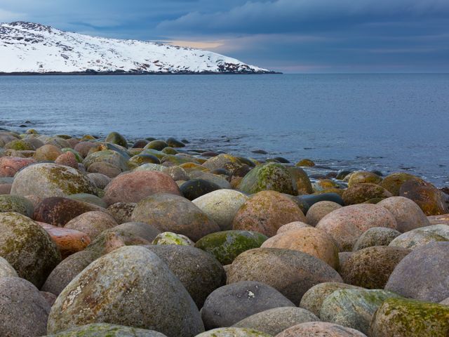 Обзорная экскурсия в Териберку из Мурманска