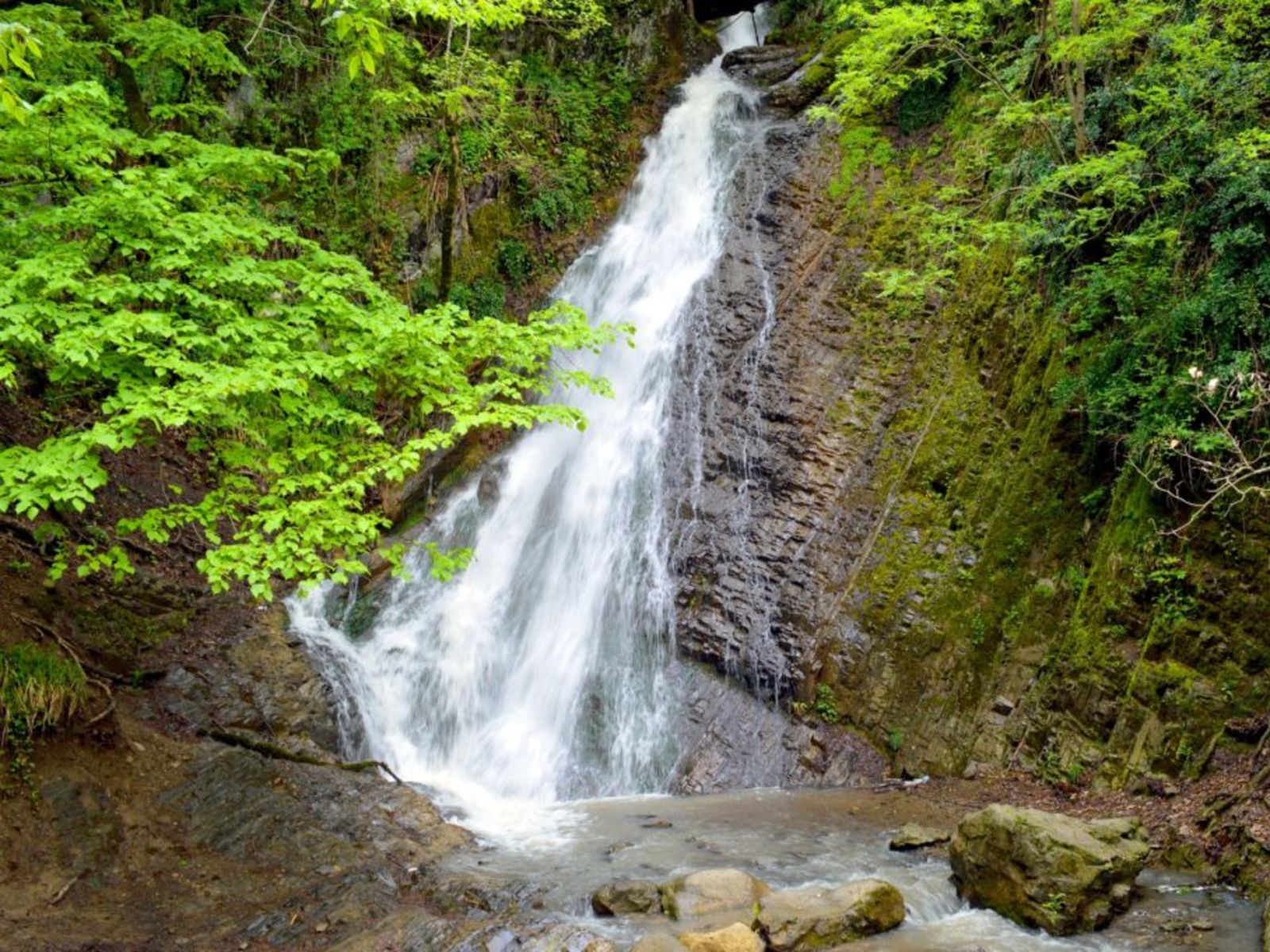 Живописный водопад среди горной зелени