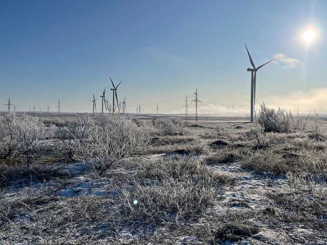 Групповая экскурсия в Териберку из Мурманска — фото 3