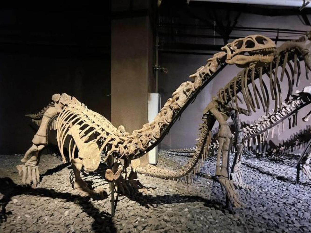 Индивидуальная обзорная экскурсия из Куньмина в Долину динозавров - индивидуальная экскурсия в Куньмине длительностью 5 часов с количеством участников до 6 человек цена экскурсии 100$