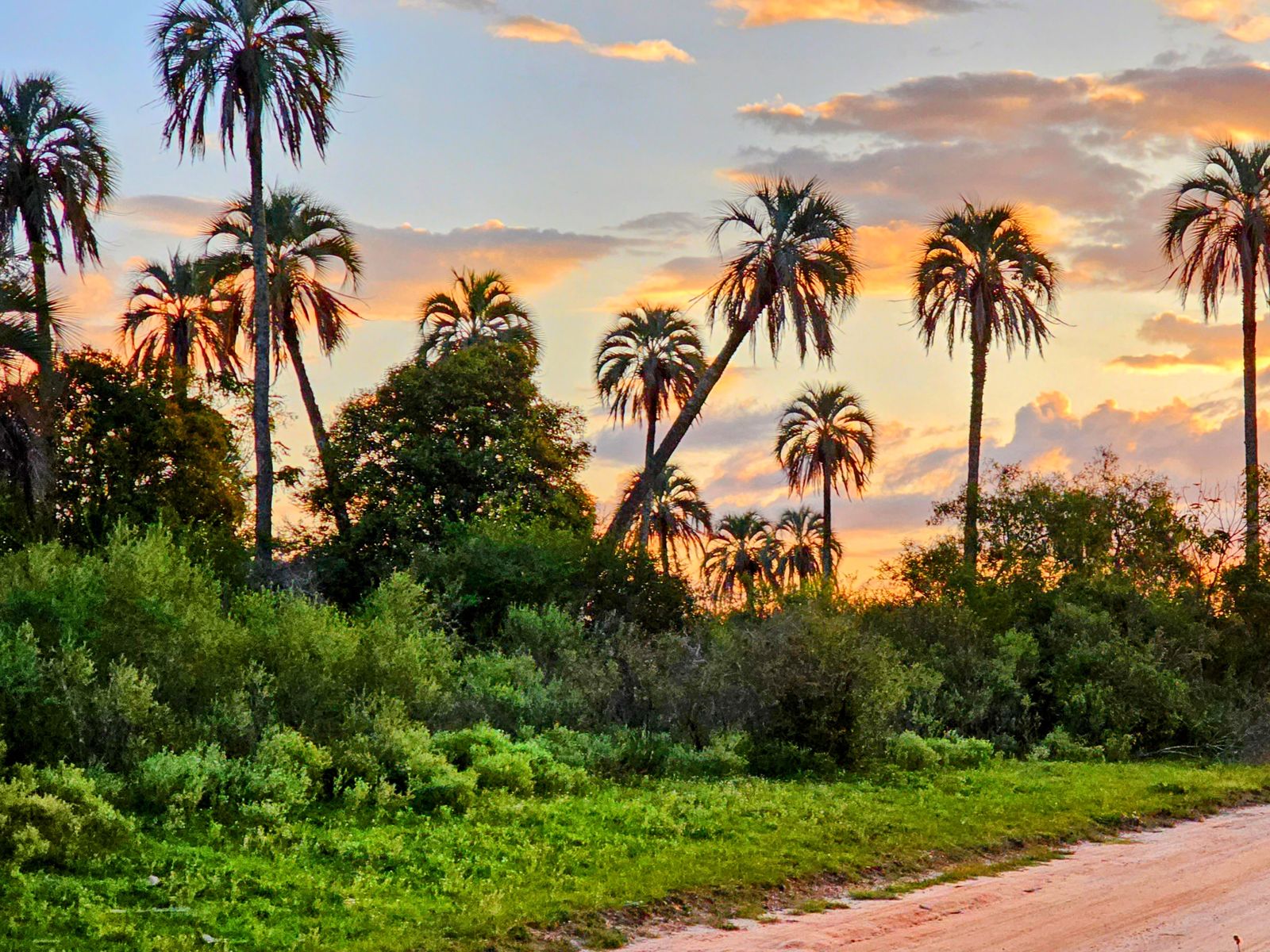 Parque Nacional El Palmar
