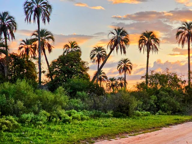 Экскурсия из Буэнос-Айреса в национальный парк "Эль-Пальмар"