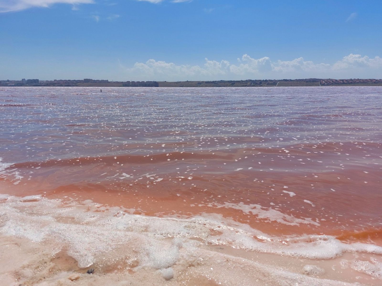 Розовая вода