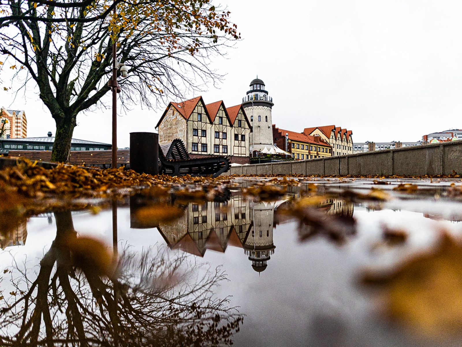 Рыбная деревня