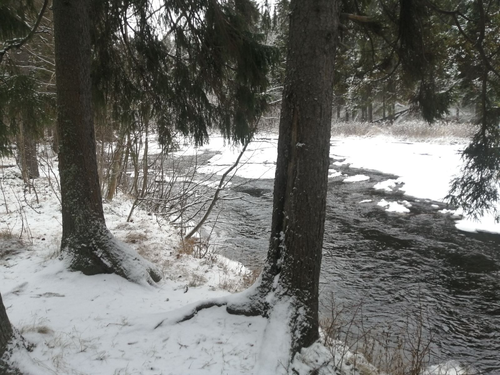 На экскурсии