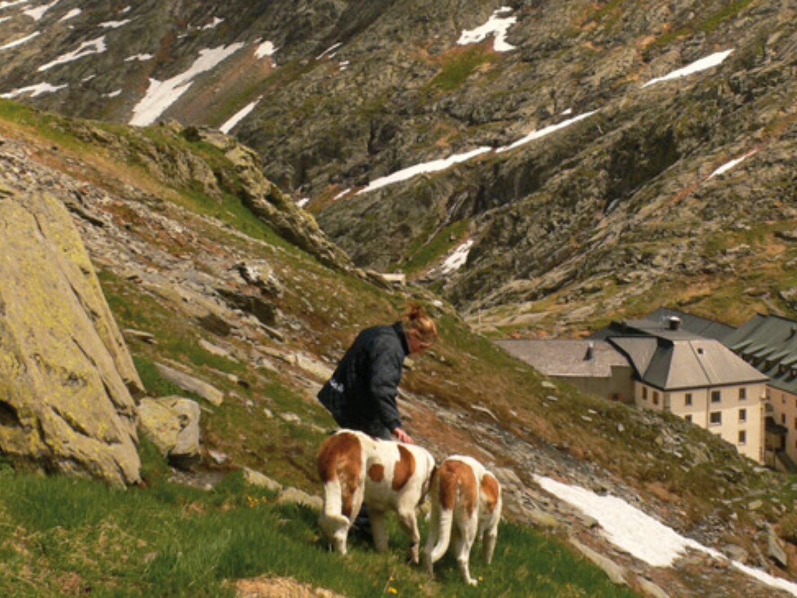 Прогулка в Альпах