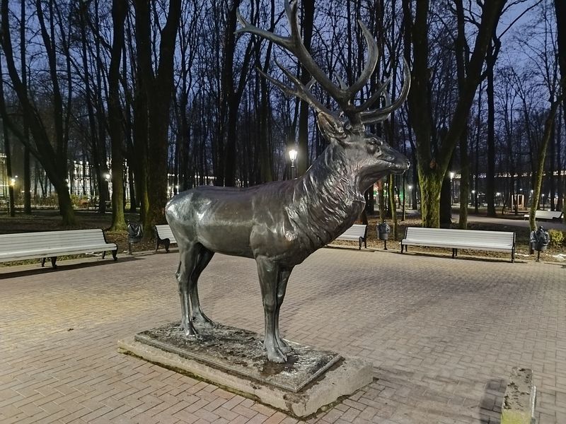 "Олень Смоленский" в темноте выглядит еще более загадочным...
