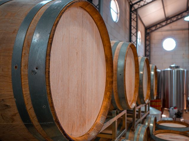 Винная экскурсия в пригороде Буэнос-Айреса