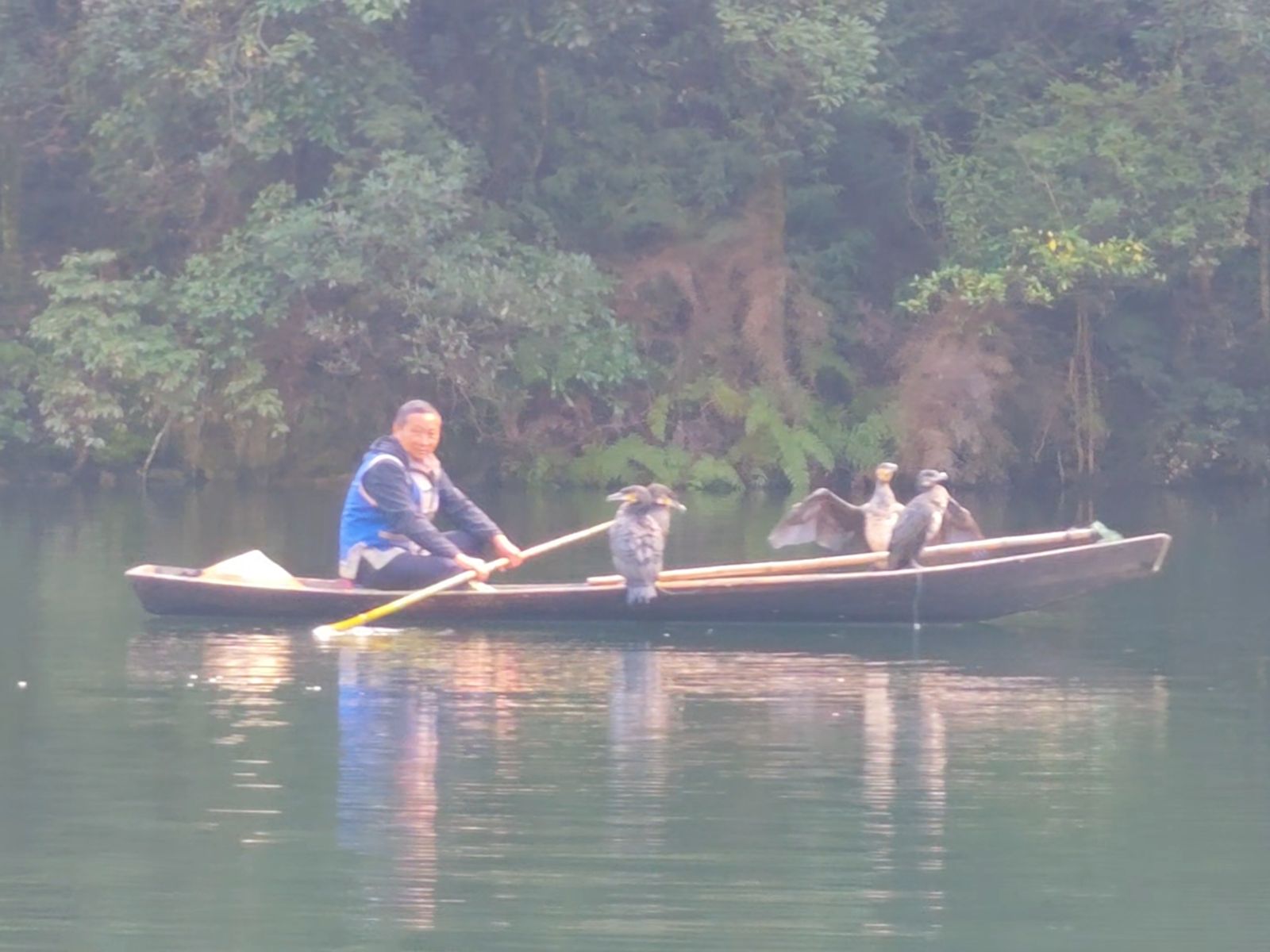 Местный житель с бакланами