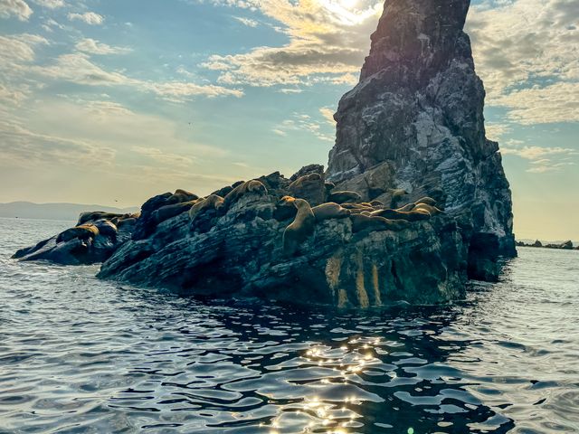 Обзорная прогулка на катере из Владивостока к острову Аскольд