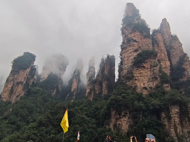 Экскурсия в национальный парк Чжанцзяцзе и на стеклянный мост