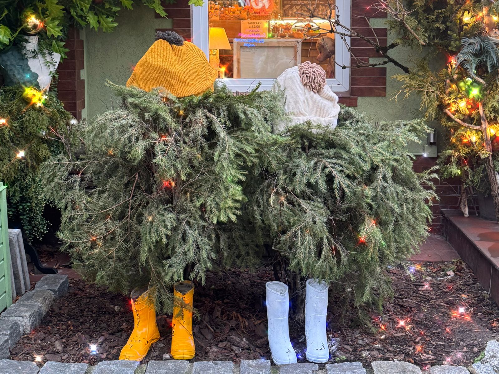 Инсталляция