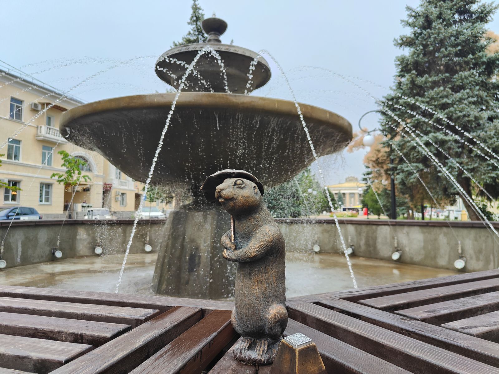 Ещё один милый суслик в Волжском