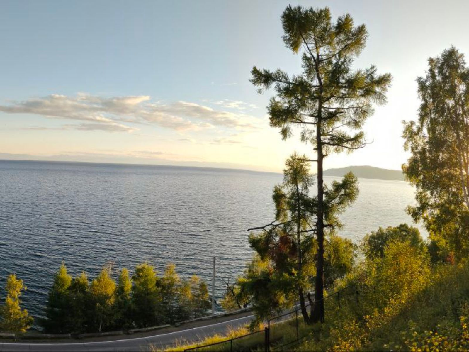 Дендропарк