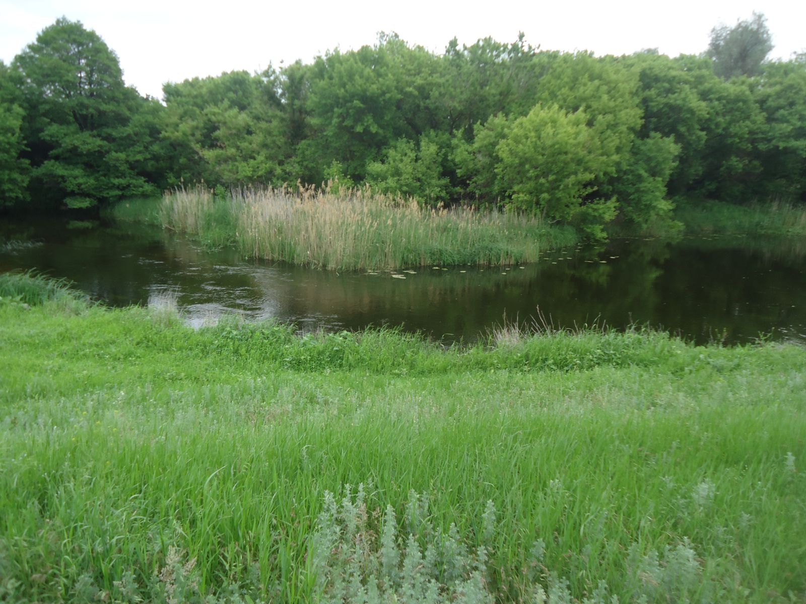 Река Иловля