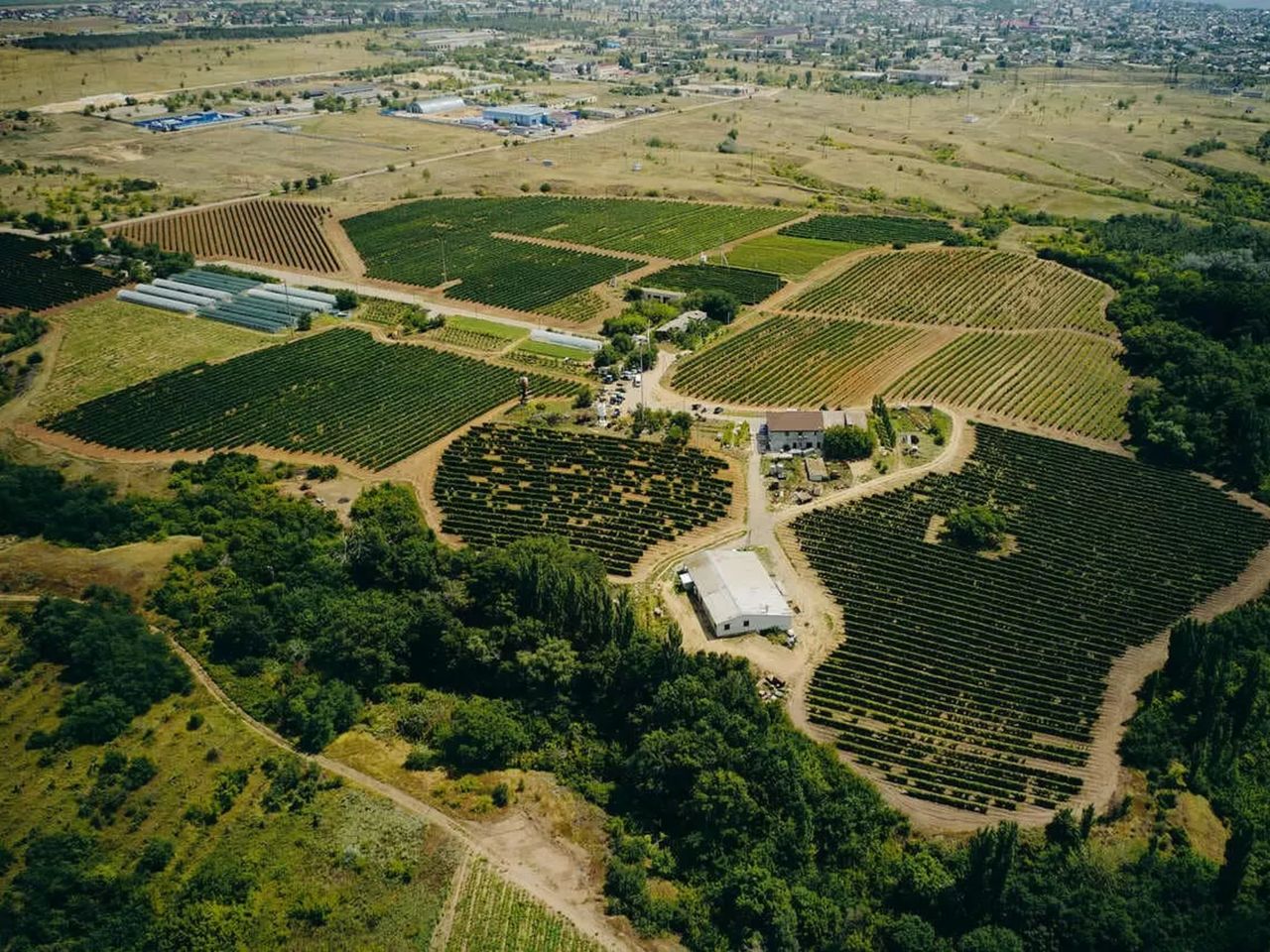 Дегустационно-музыкальная экскурсия: «Вилла София» и «Гусевъ» - индивидуальная экскурсия в Волгограде на машине гостей длительностью 7 часов с количеством участников до 20 человек цена экскурсии 11000₽