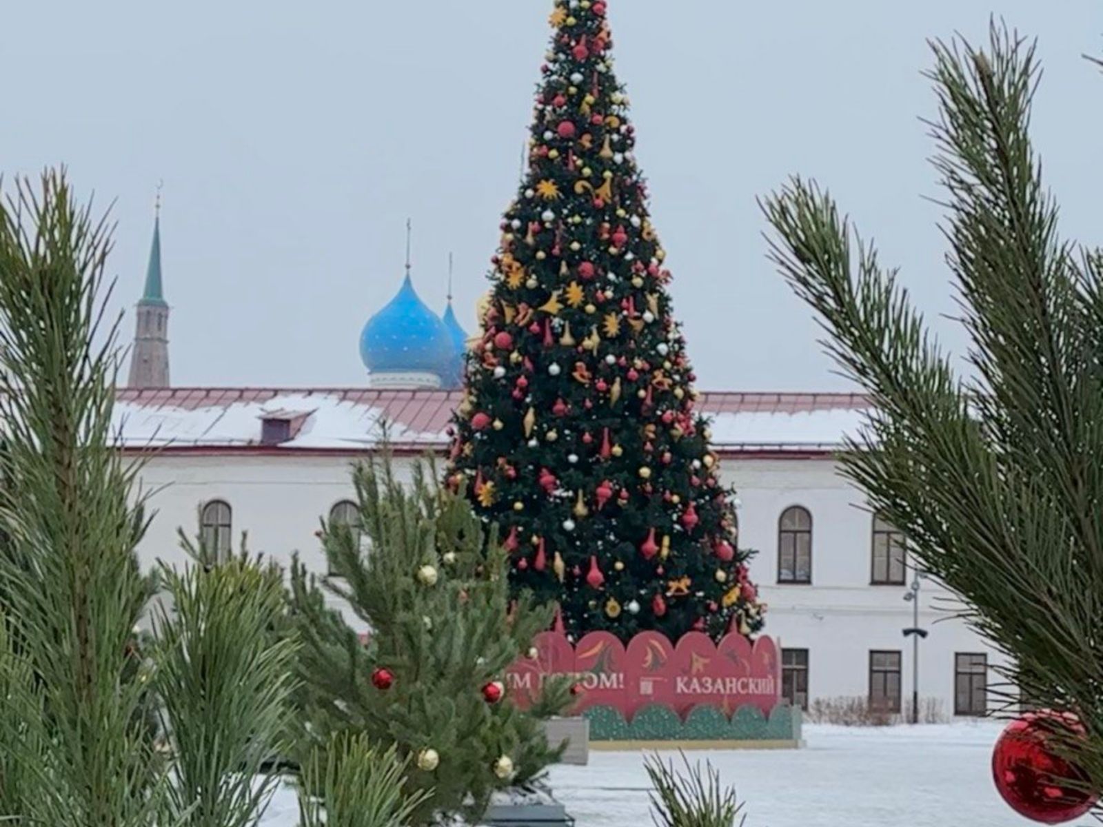 Новогодняя елка во дворе Присутственных мест