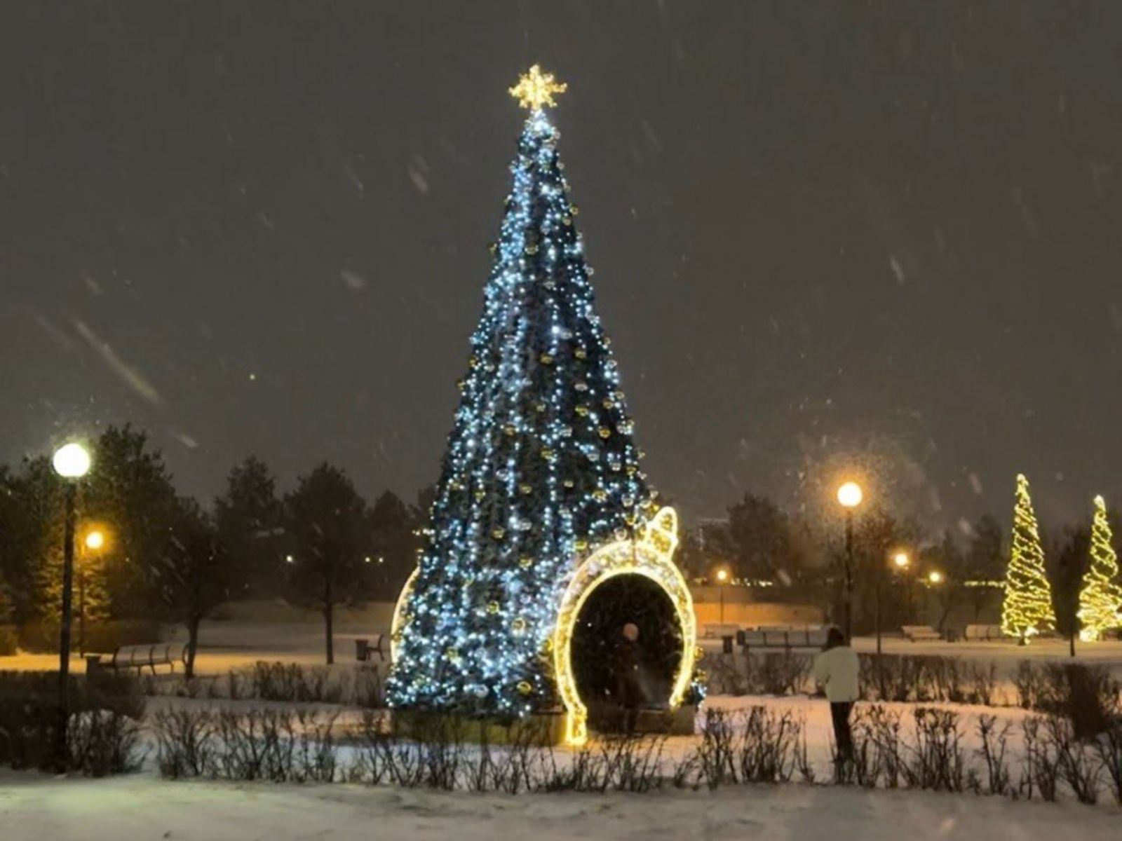 Новогодняя елка на Дворцовой площади
