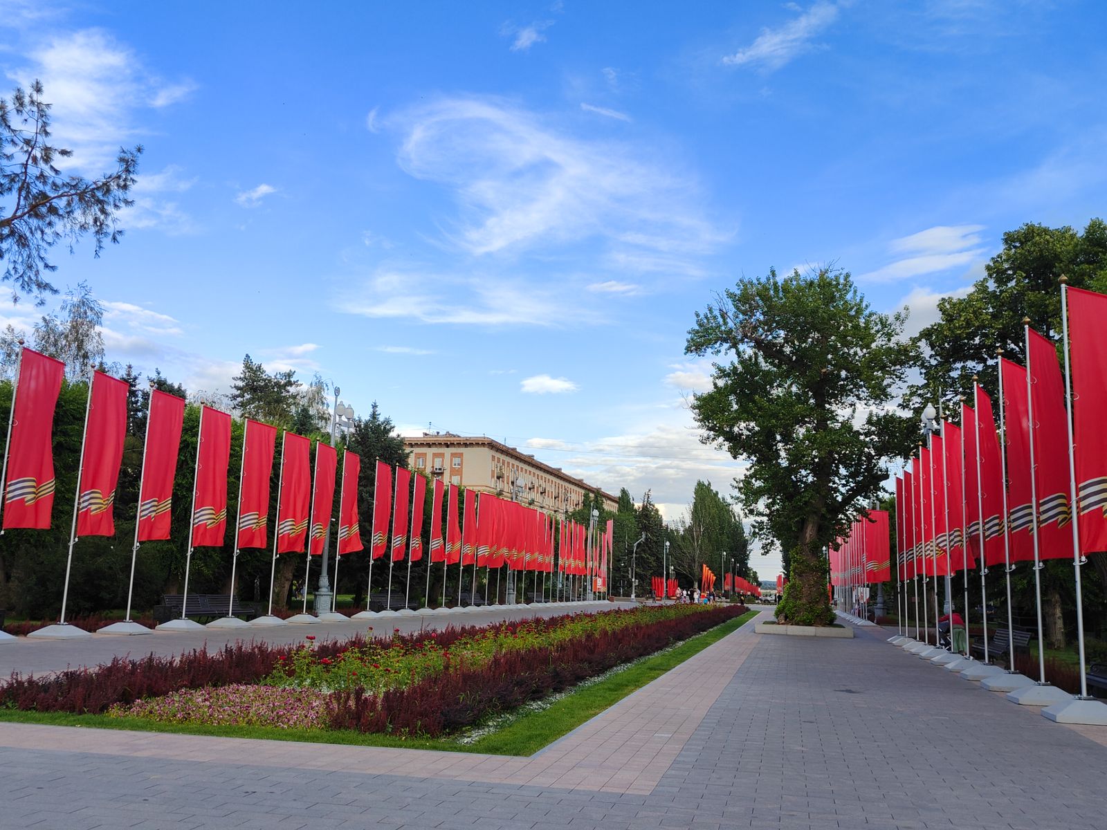 Аллея Героев и Сталинградский тополь