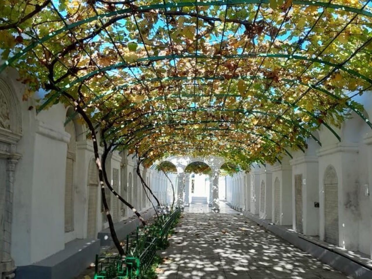 Экскурсия «Малый Иерусалим — переплетение вероисповеданий» - индивидуальная экскурсия в Евпатории длительностью 2.5 часа с количеством участников до 4 человек цена экскурсии 5000₽