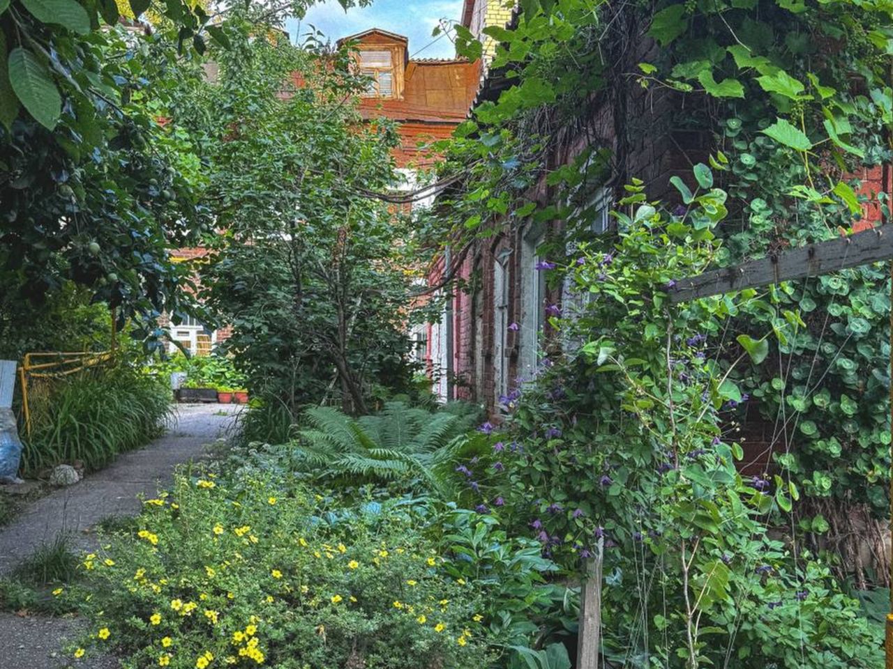 Индивидуальная обзорная экскурсия по дворикам Старой Самары - индивидуальная экскурсия в Самаре пешком длительностью 2 часа с количеством участников до 10 человек цена экскурсии 6000₽