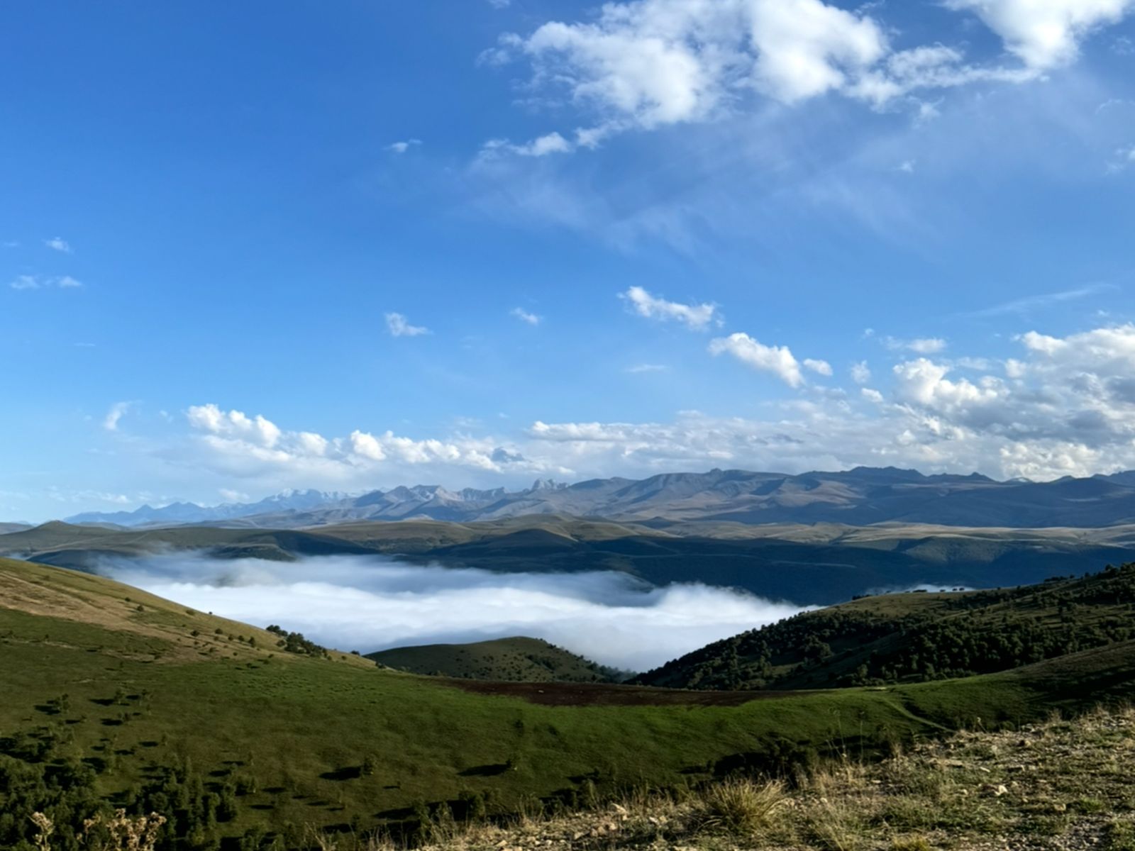 Туманные долины