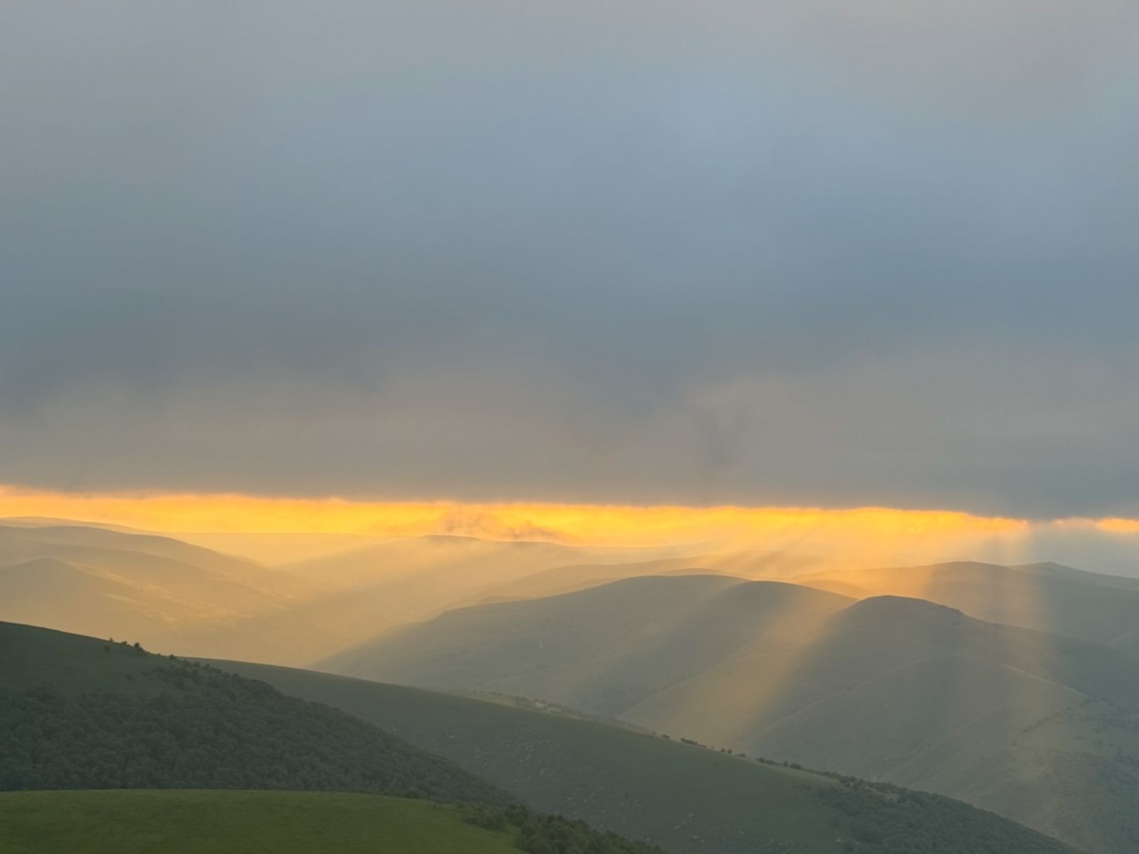 Красота в любую погоду