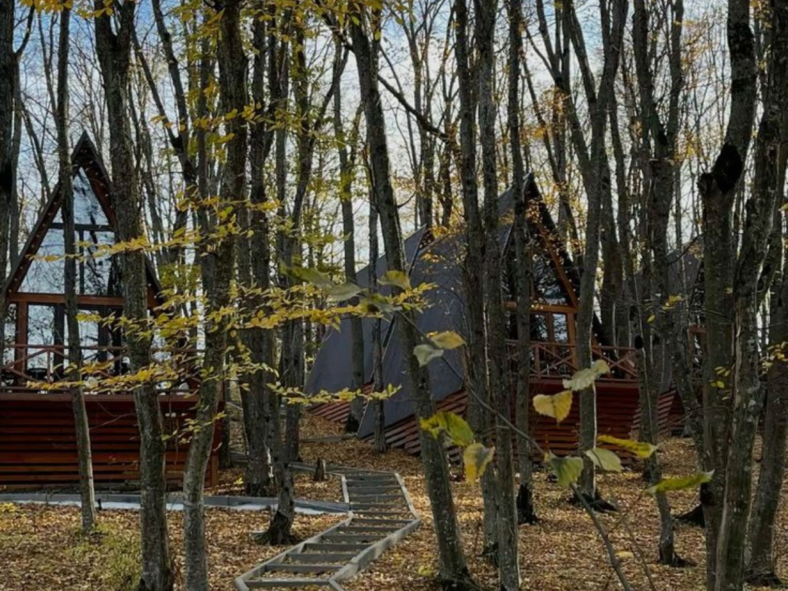 Домики в лесу