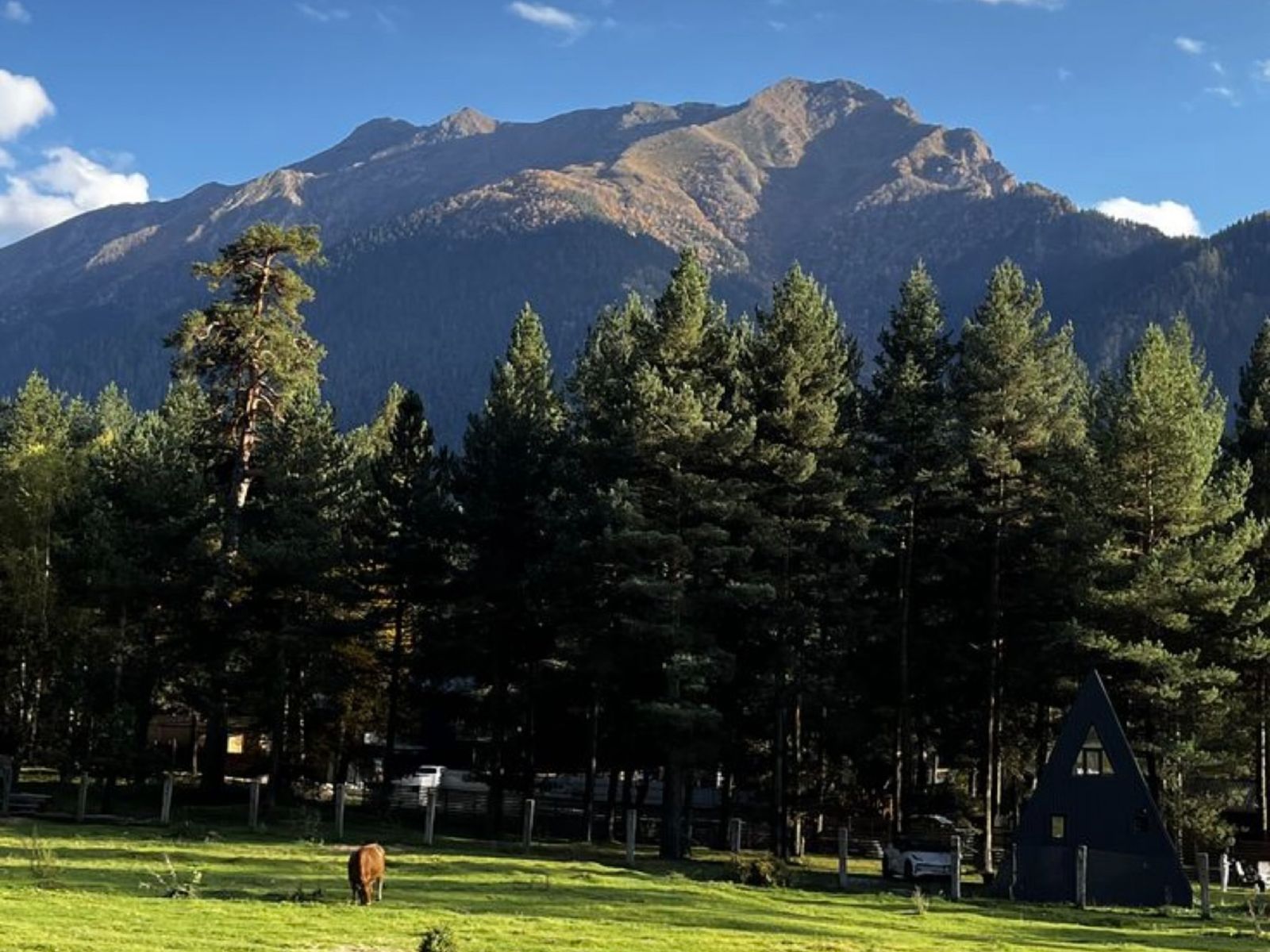 Софийская поляна