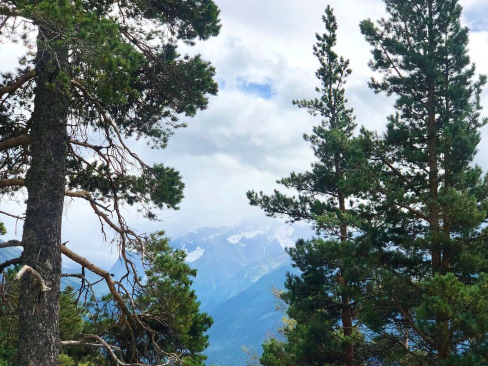 Невероятные пейзажи Архызских гор и лесов