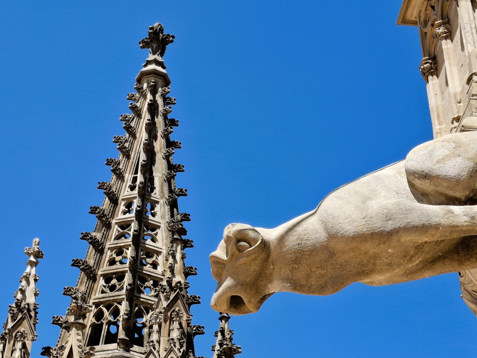 Горгульи кафедрального собора