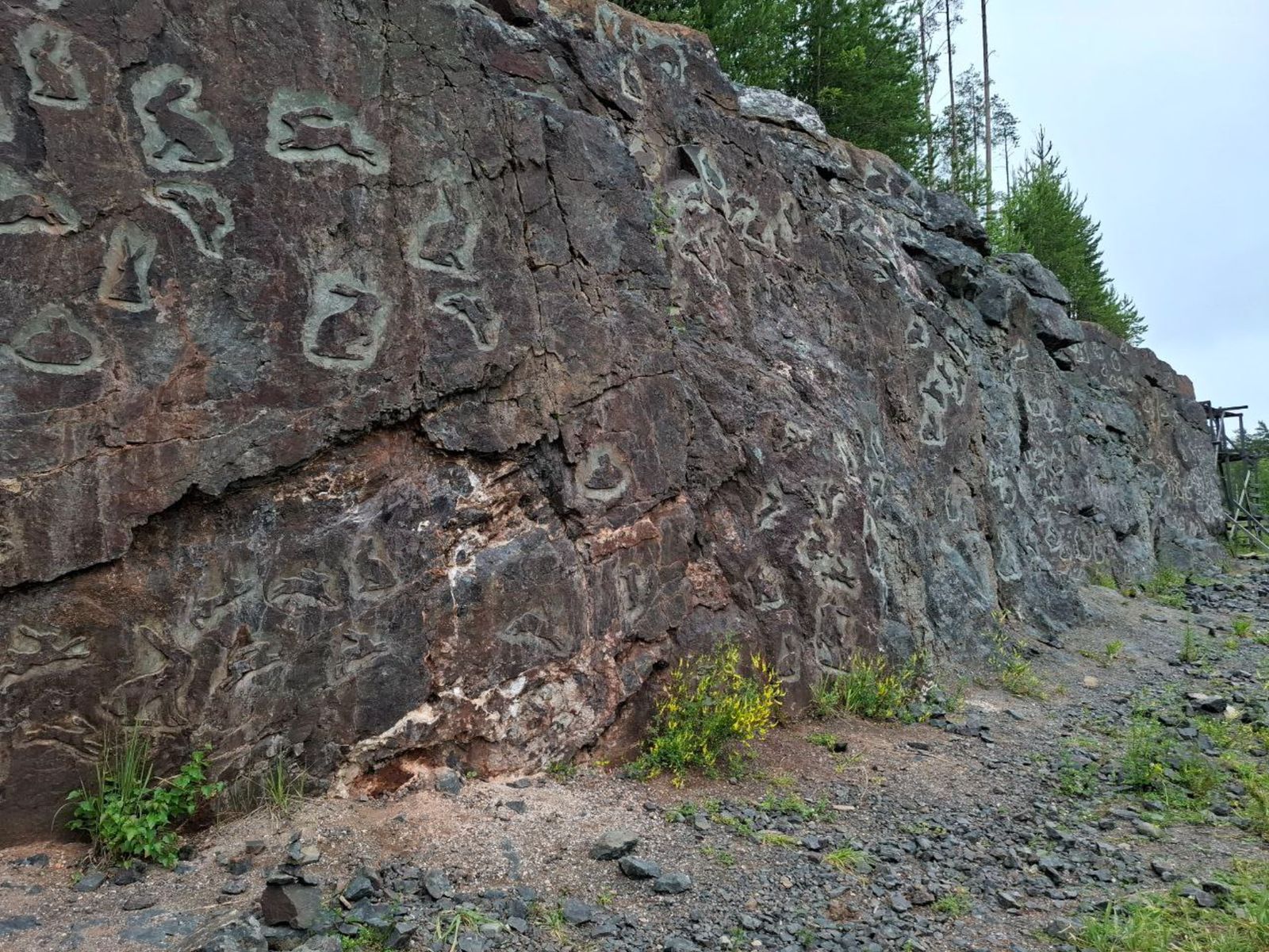 Долина зайцев