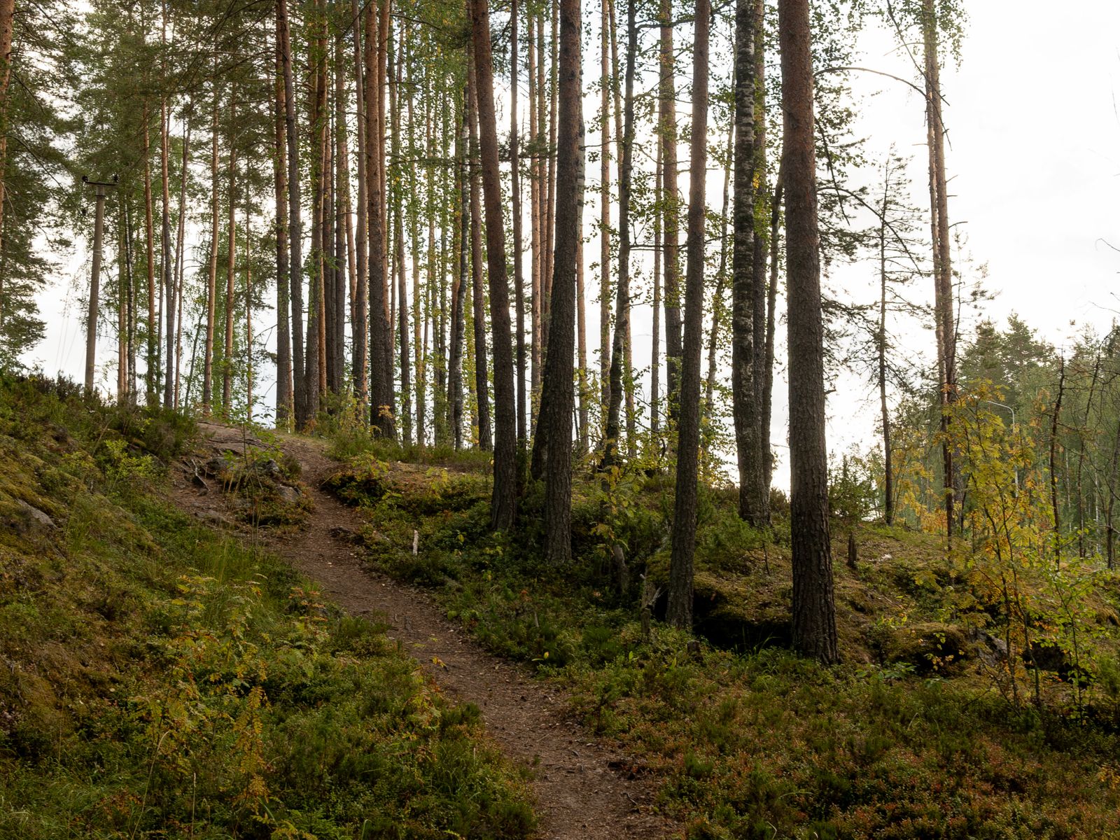 Долина зайцев