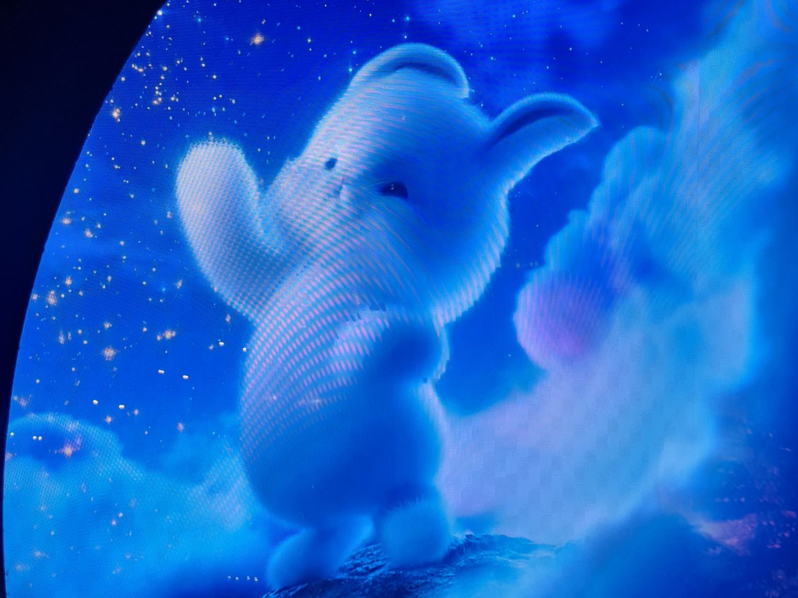 Инсталляция в "Кроличьей норе"