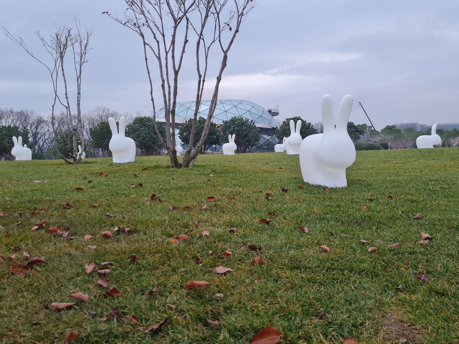 На кроличьей полянке