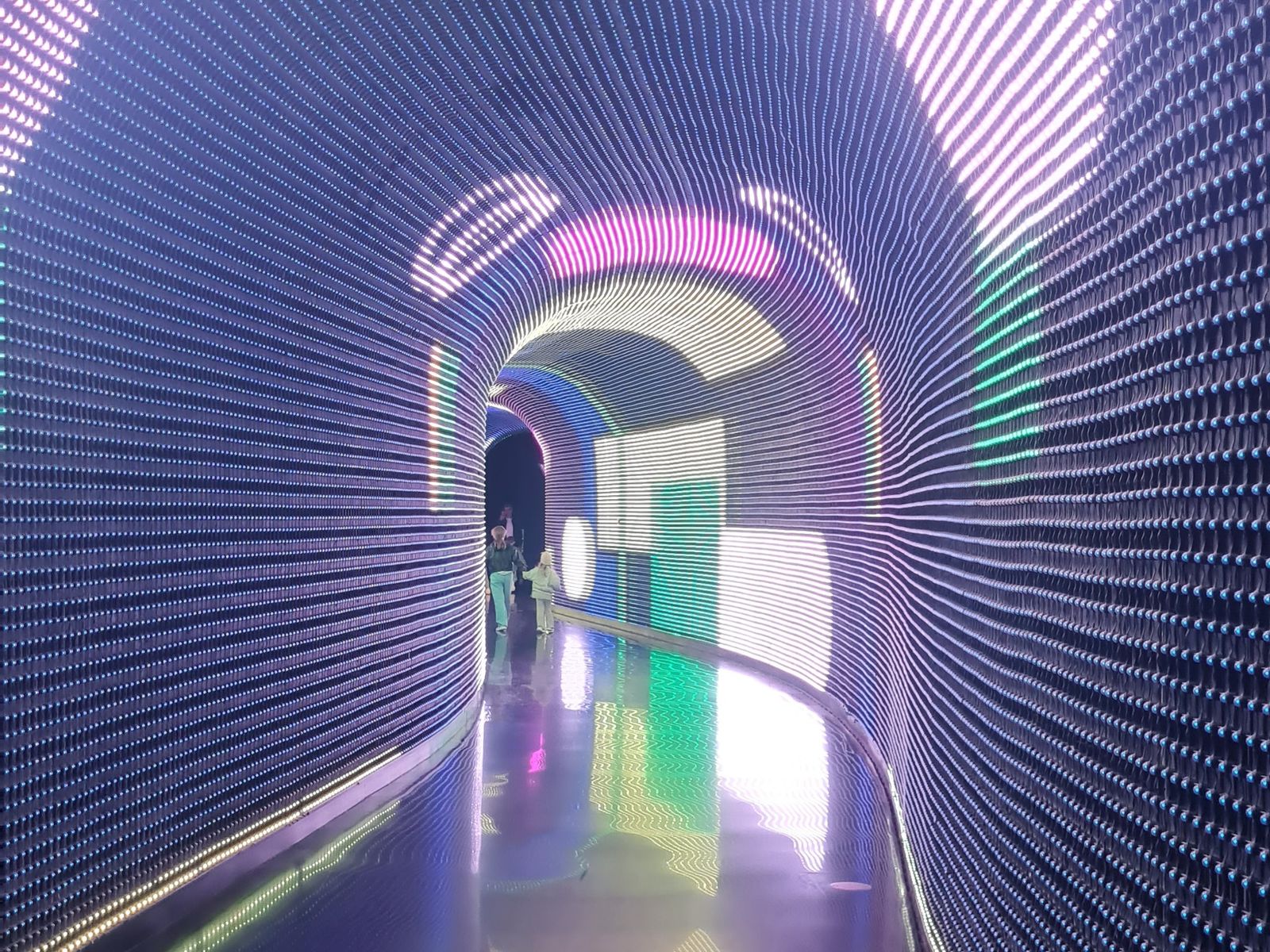 Извилистые норы