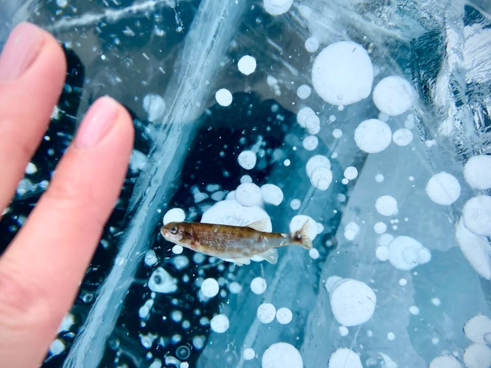 Подожди до весны