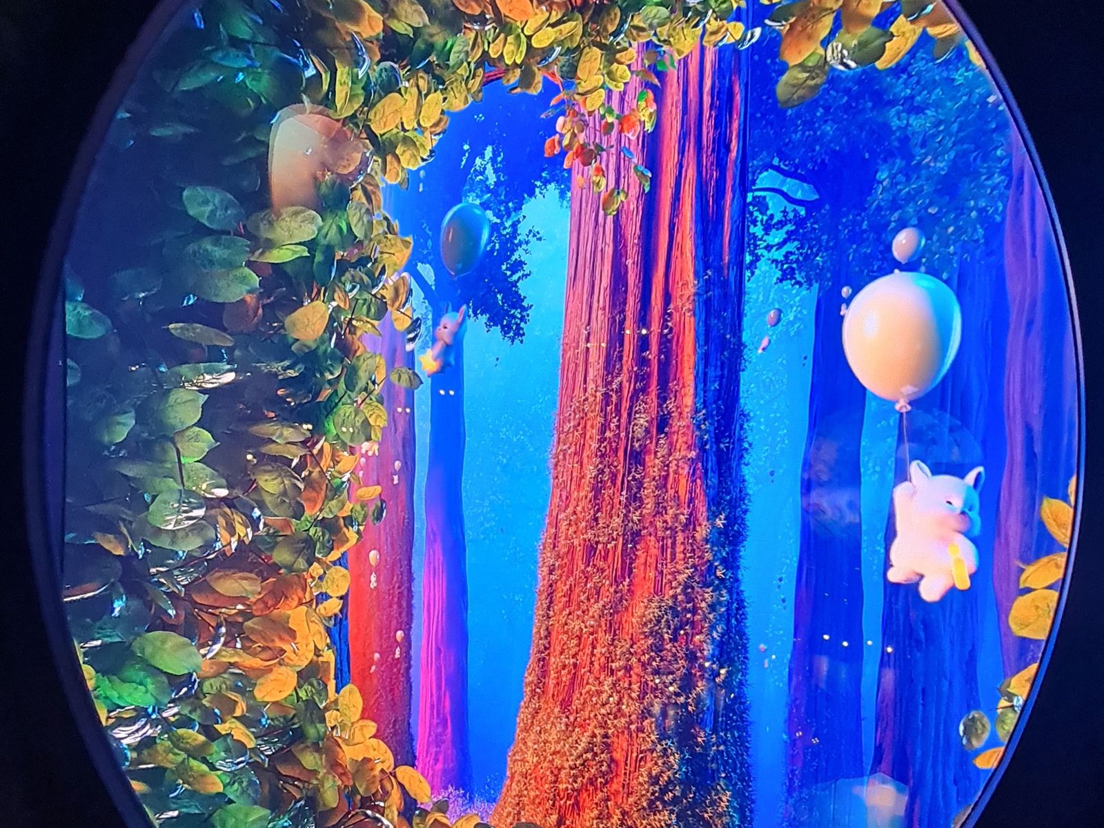 В "Кроличьей норе" "Парка облаков" парка "Краснодар"