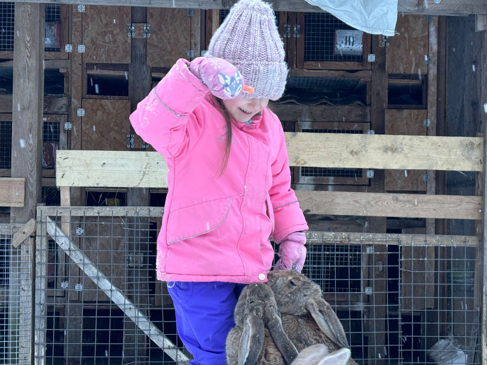 Пушистые и ушастые