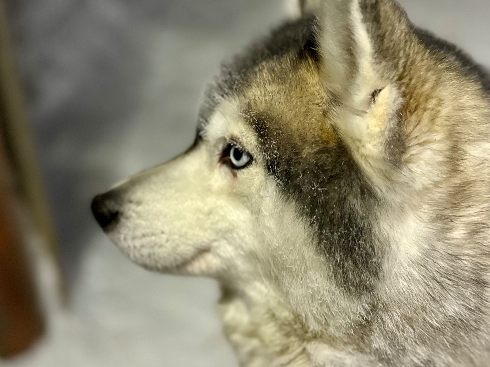 Всегда рады гостям