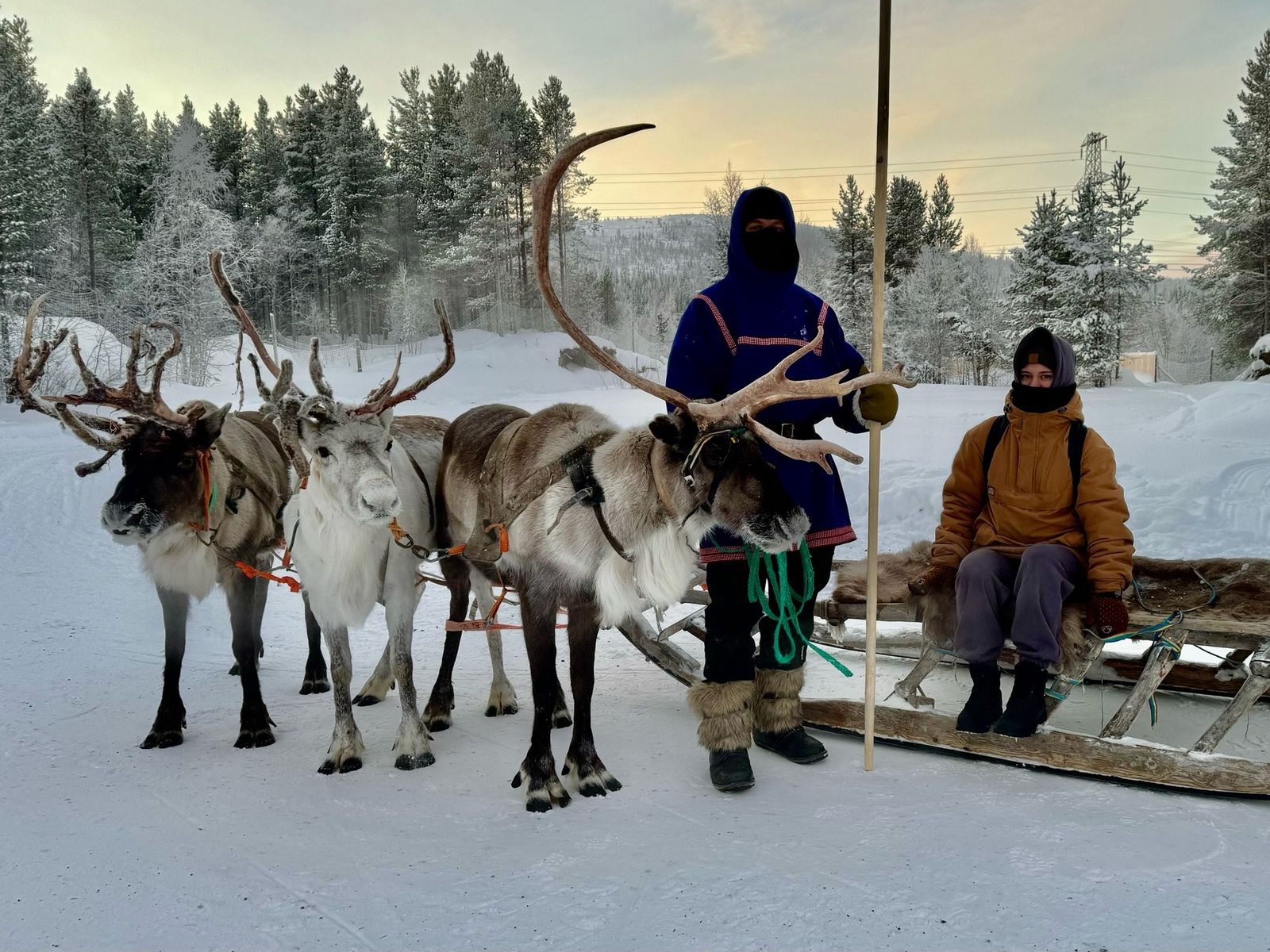 Катание в нартах