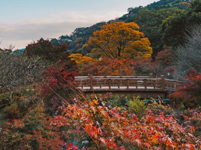 Экскурсии на Идзу
