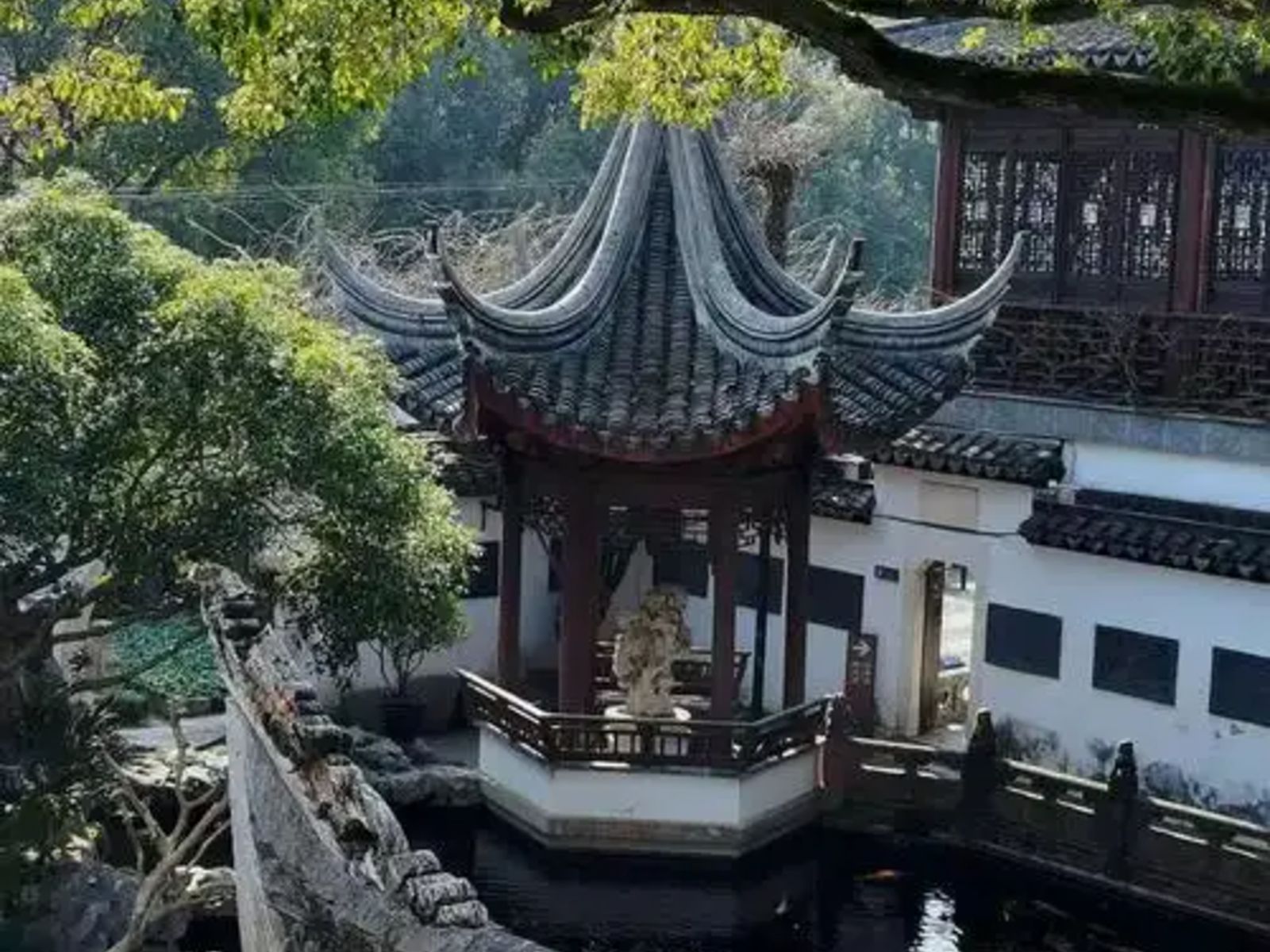 Парк Синьюань