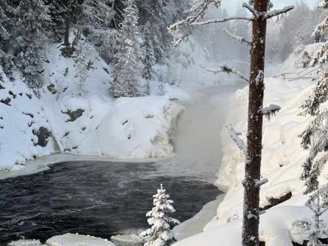 Обзорная экскурсия по живописным окрестностям Петрозаводска